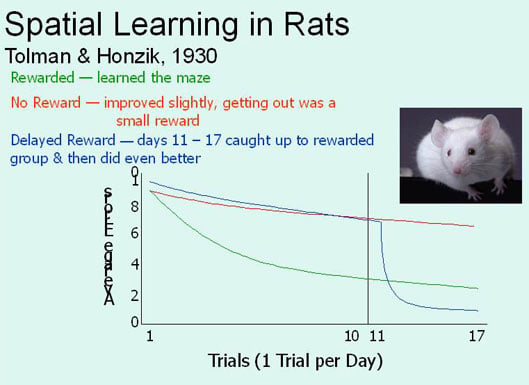 Edward Tolman in AP Psychology: Everything Covered (Get a Top Score, Start Now)