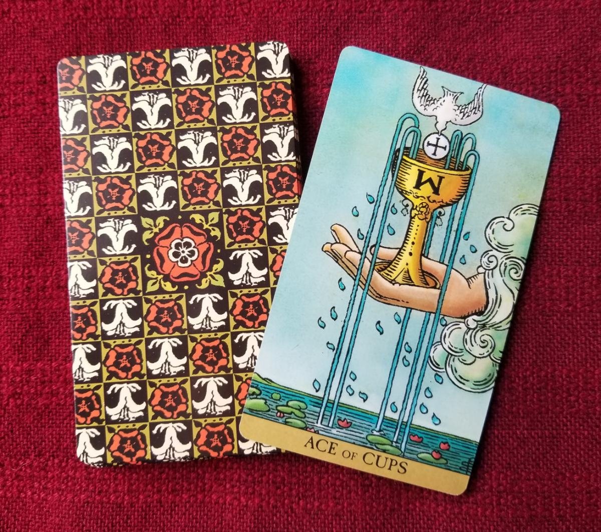 Daily Tarot Reading (tarot do dia): Get Your Free Card of the Day!