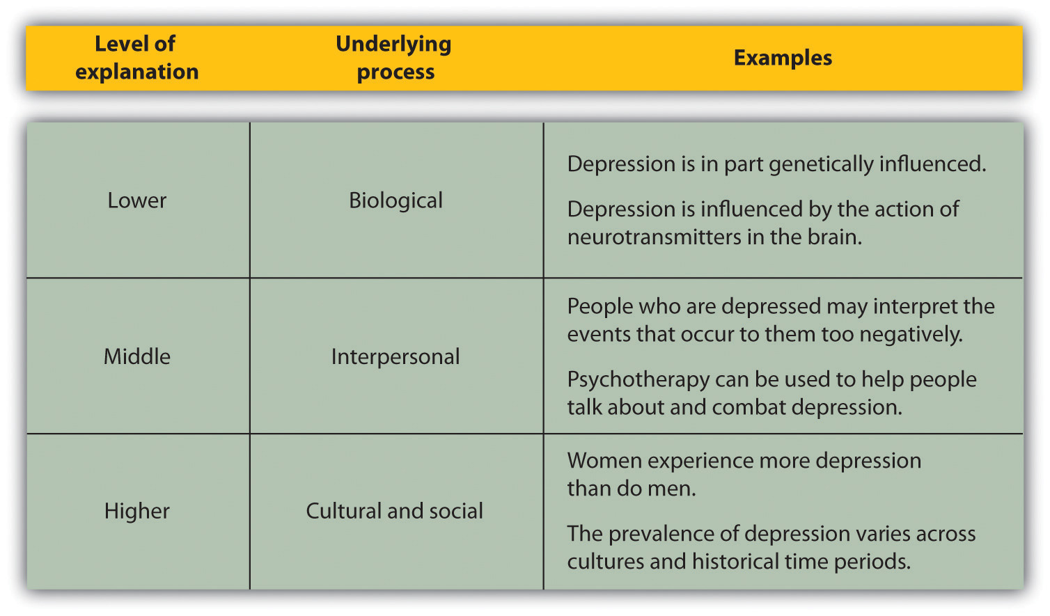 Students Experience of Psychology: Find Easy Explanations.