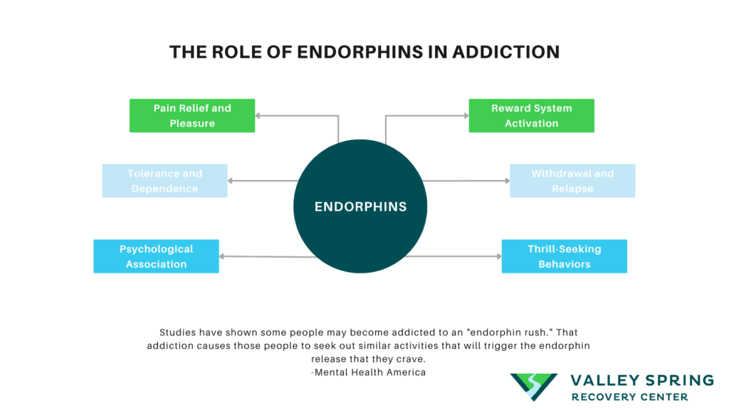 Endorphins AP Psychology Explained: How Do They Work (Easy to Understand Guide)