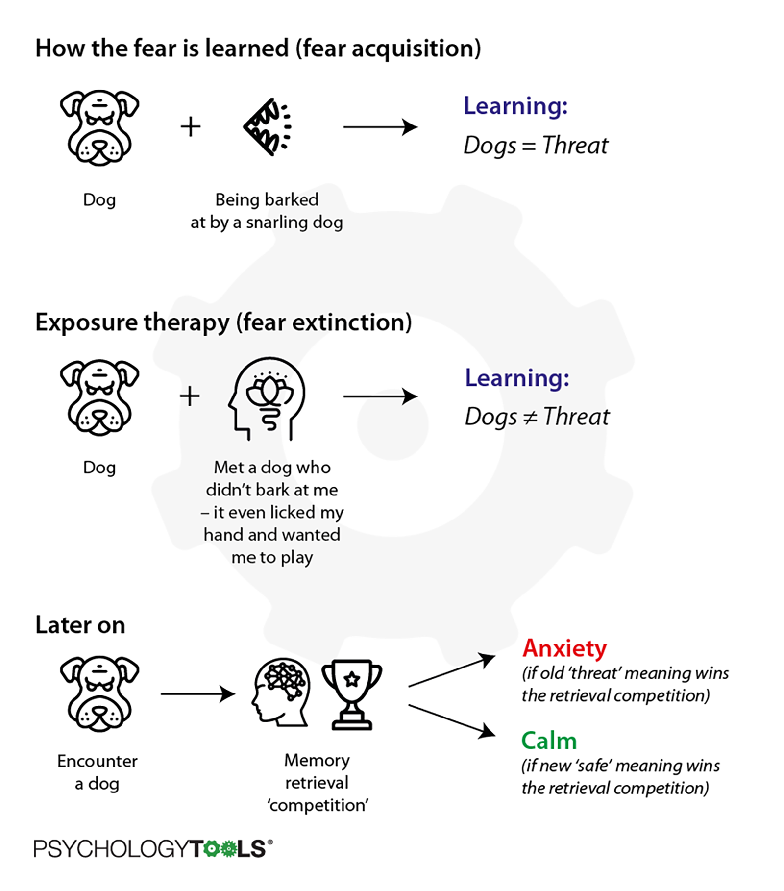 AP Psychology: Understanding Exposure Therapy Definition & How It Works