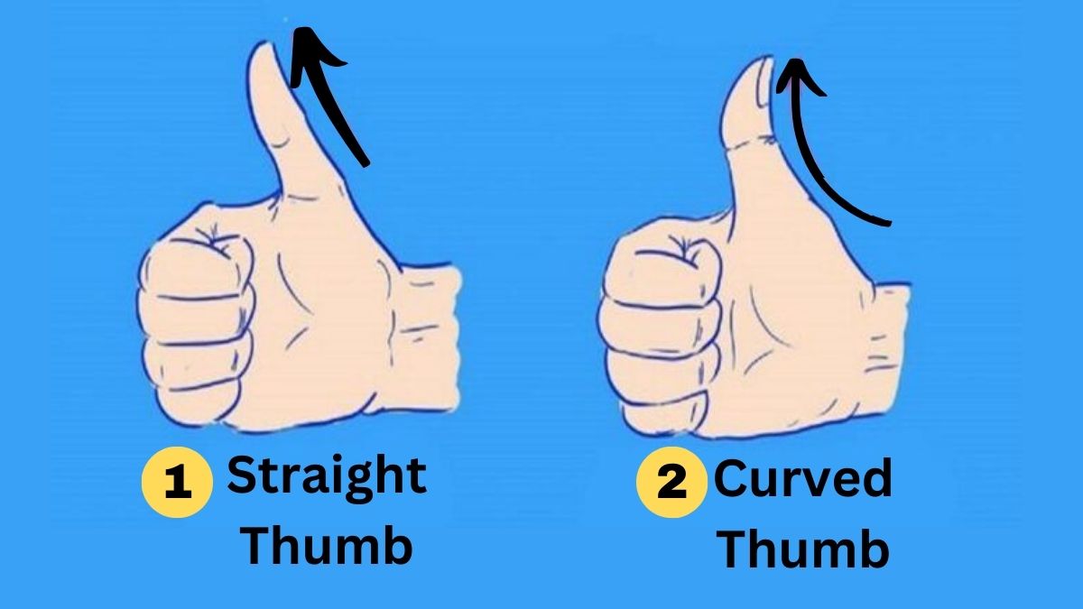 Thumb Print Astrology Explained: Find Out Your Future (What Your Thumb Shape Reveals)