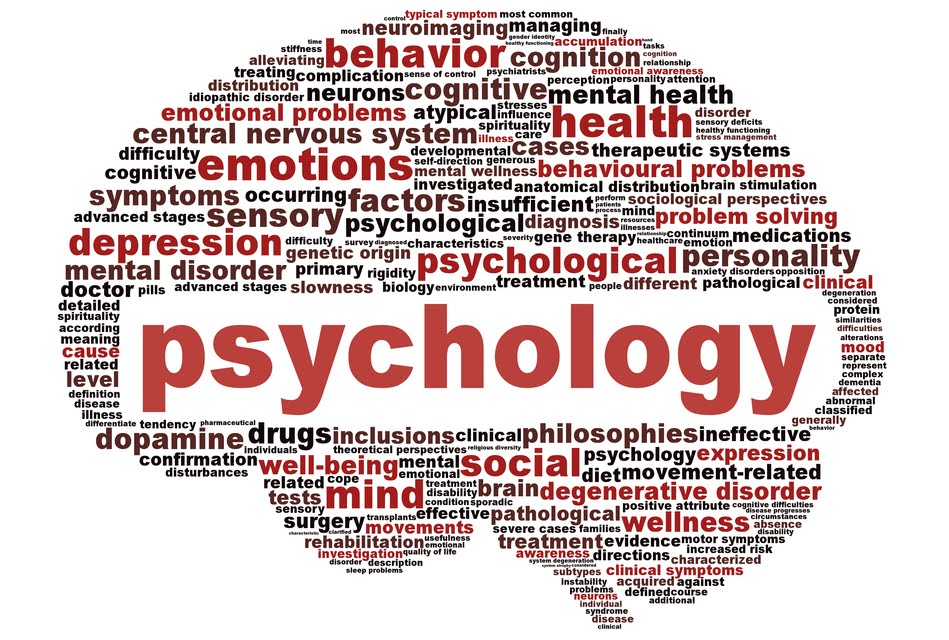 Emory Clinical Psychology Program Overview (Discover What Makes This Department Stand Out)